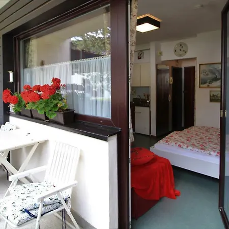 Appartement Amabile Ski-therme Studio Bach (Tyrol)
